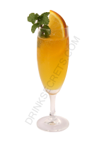 Brandy Daisy cocktail image