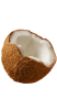 Coconut ingredient