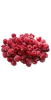 Frozen Raspberry   ingredient