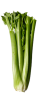 Celery ingredient