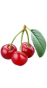 Cherry ingredient