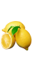 Lemon ingredient