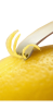 Lemon Peel ingredient