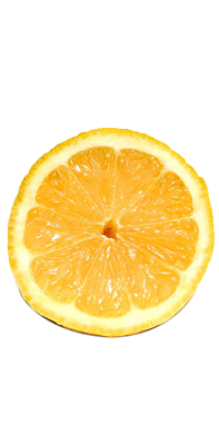 Lemon Slice - Drink Secrets